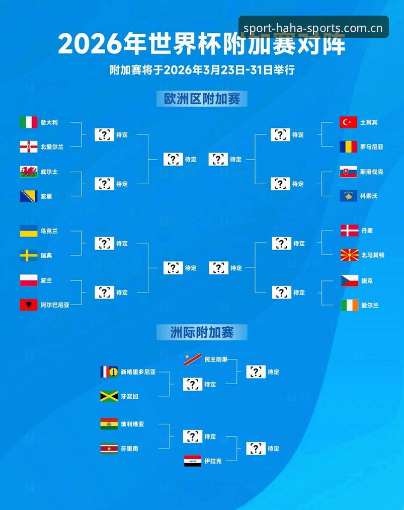 3大观赛痛点解析：世界杯热潮下的签证困局与haha体育带来的解决之道